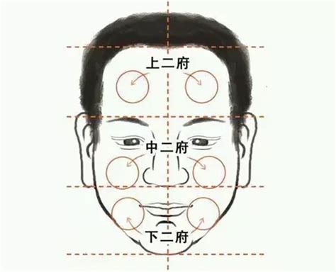 耳後見腮面相|學會看面相：腦後見腮的人容易恩將仇報